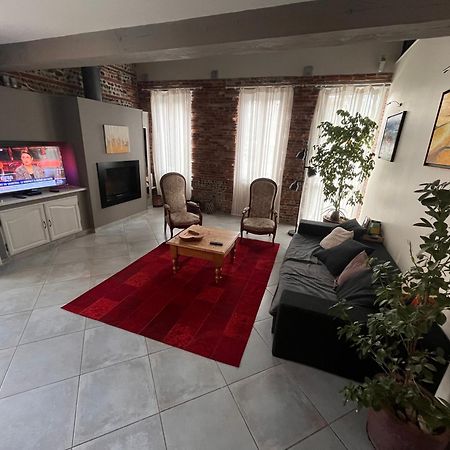 Magnifique Maison Toulousaine Тулуза Екстериор снимка