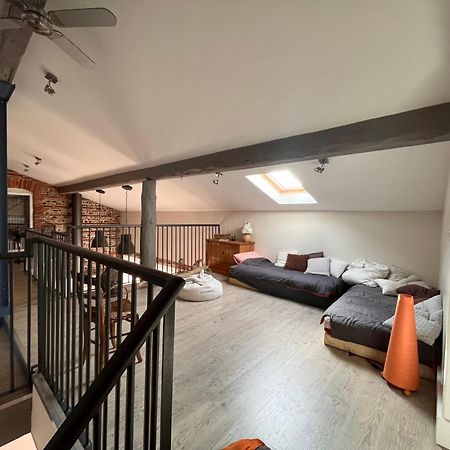 Magnifique Maison Toulousaine Тулуза Екстериор снимка